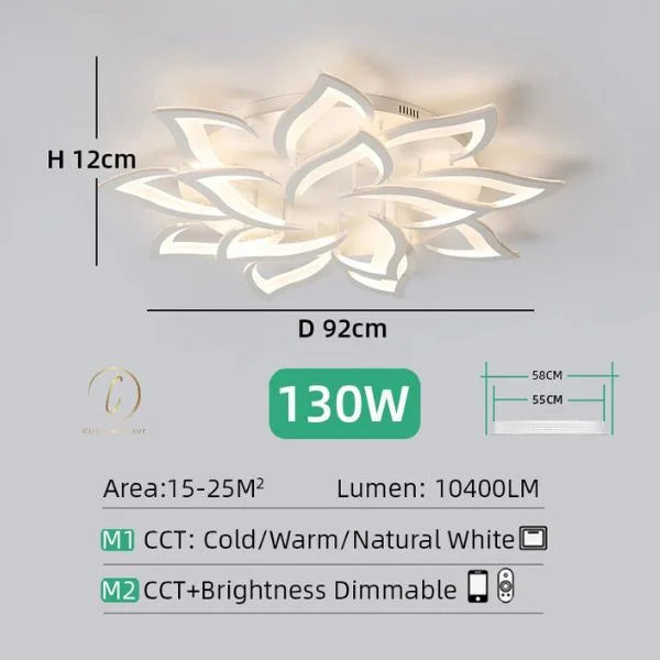 ceiling light in living room 05