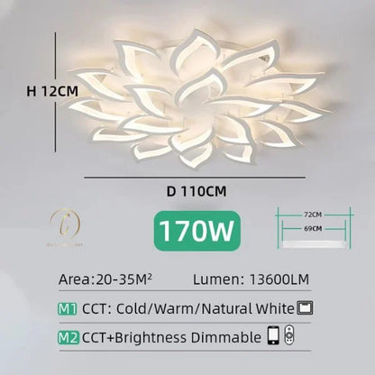 ceiling light in living room 06