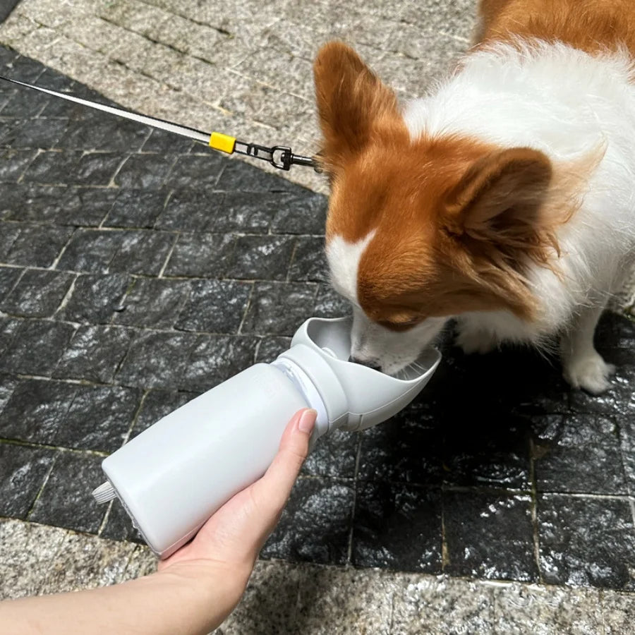 FoldaPup™ – Collapsible Dog Water Bottle for Outdoor Travel