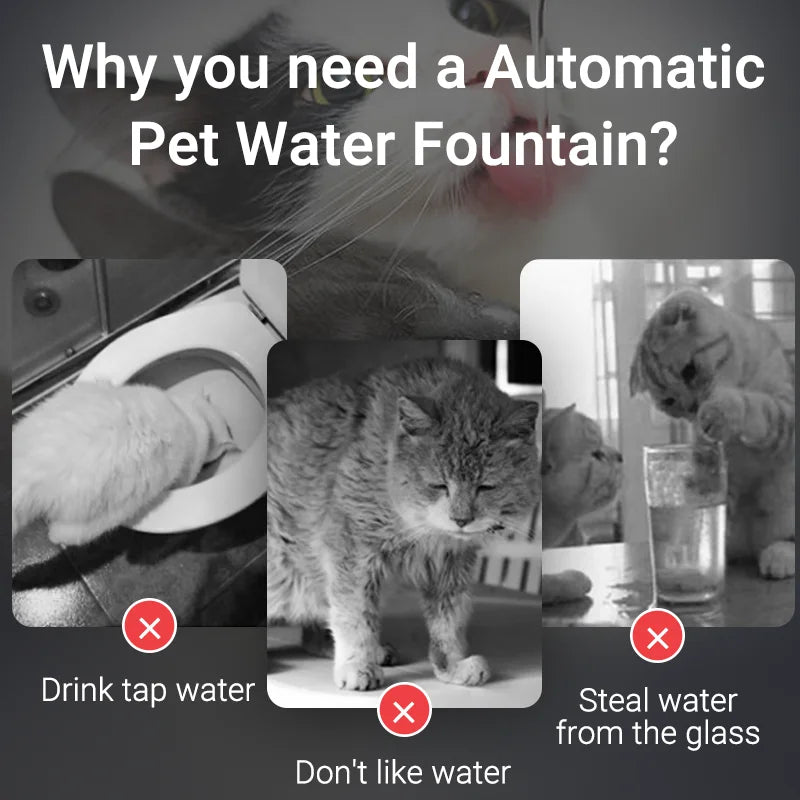 AquaPaw™ – Automatic Water Dispenser for Cats & Dogs