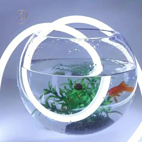 Led_strip_outdoors 4